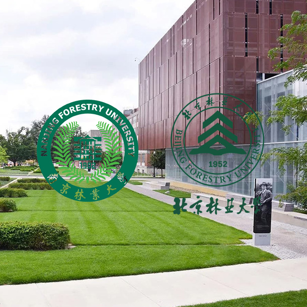 Anhui Guanming Materiae Decoration Co., Ltd